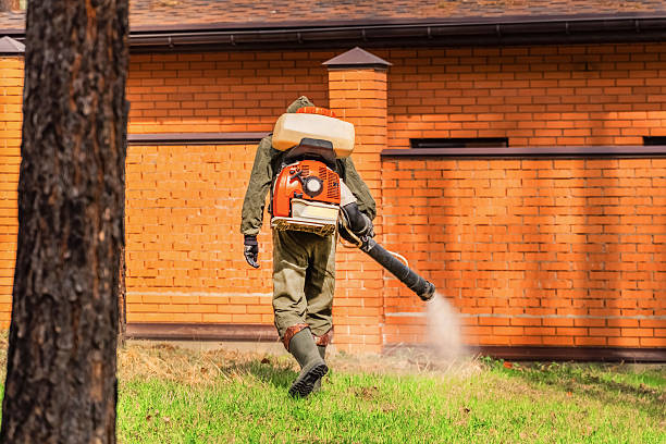 Bed Bug Clearance Verification and Documentation in Rushford